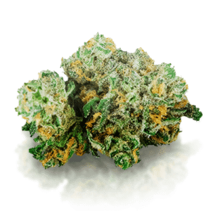 Buy Blue Dream Strain