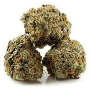 Buy Cookie Monster Strain