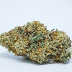 Buy Golden Goat Strain