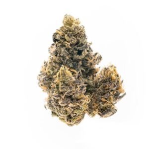 Buy Grapefruit Strain Online