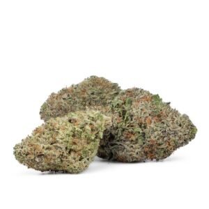 Buy Jack Herer strain