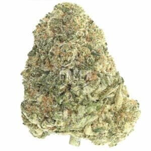 Buy King Louis Strain
