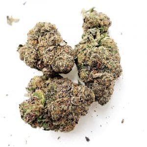 Buy Obama Runtz Online