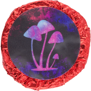 Buy Penis Envy Chocolates Online