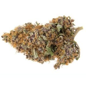 Buy Purple Haze Online
