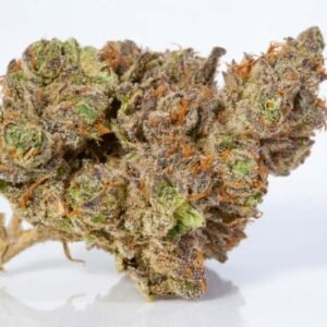 Buy Stardawg Strain Online