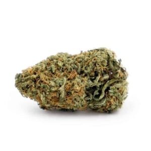 Buy Sunset Sherbet Strain