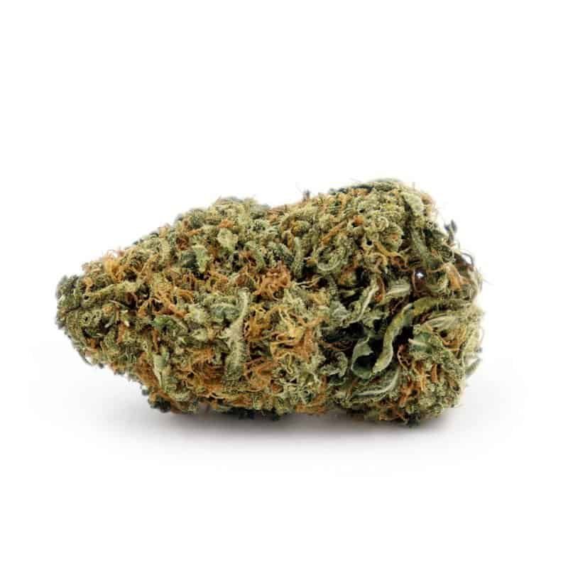 Buy-Sunset-Sherbet-Strain.jpeg Buy Sunset Sherbet Strain