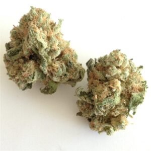 Buy White Widow Online