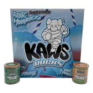 Home KAWS SLURPEE MOONROCKS