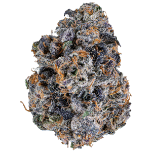 Bacio Gelato 7g SPECIAL!