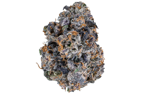 bacio gelato 7g special! bacio gelato 7g special!