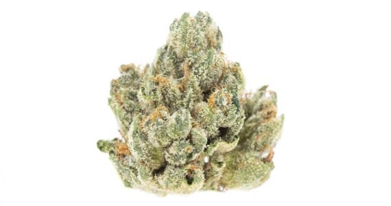 marathon og 7g special!